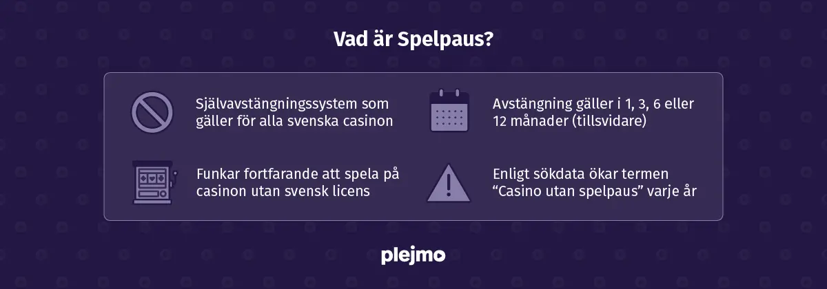 vad spelpaus är